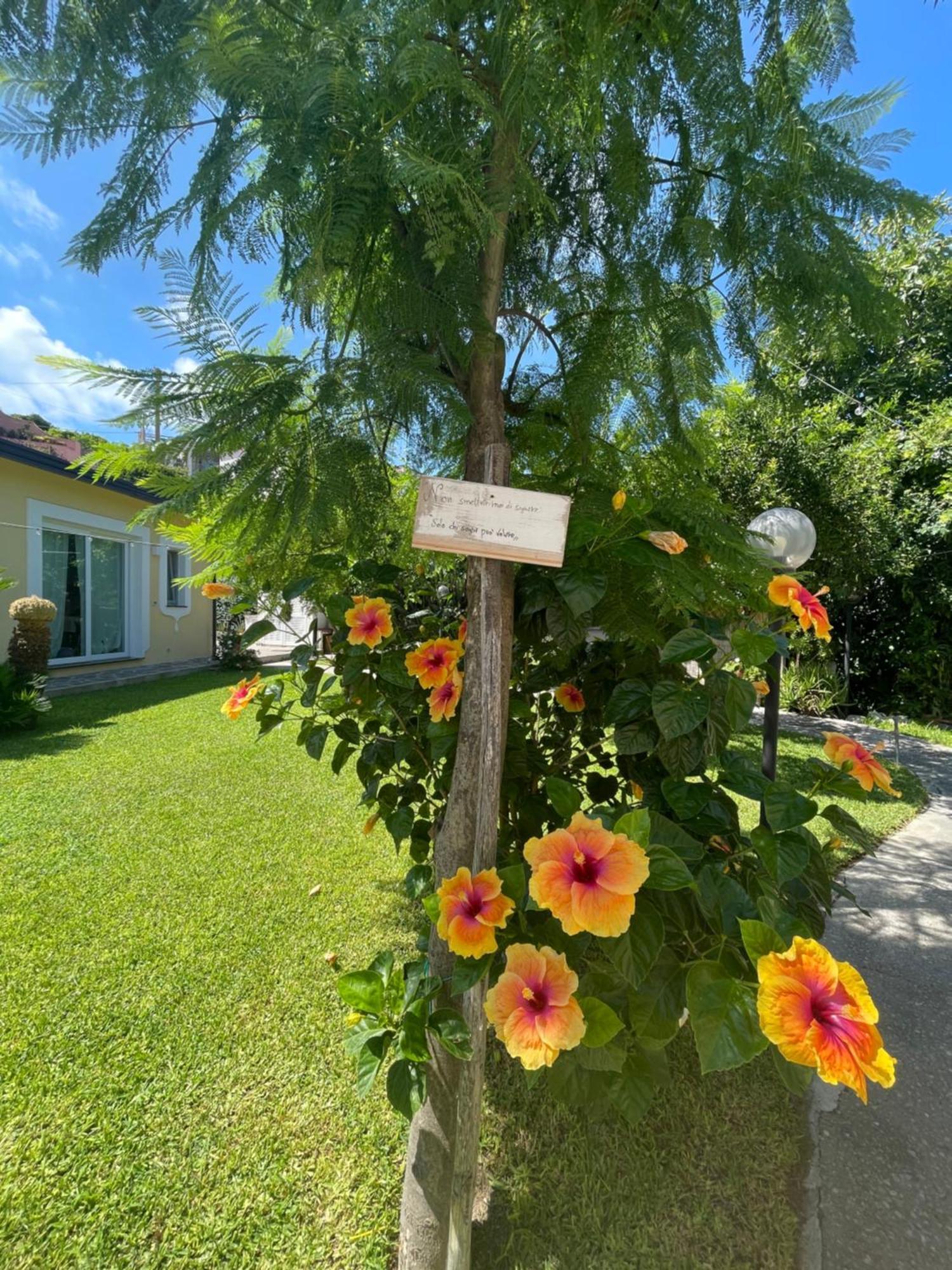 Garden Apartments Ischia Super Centrale Форио Экстерьер фото